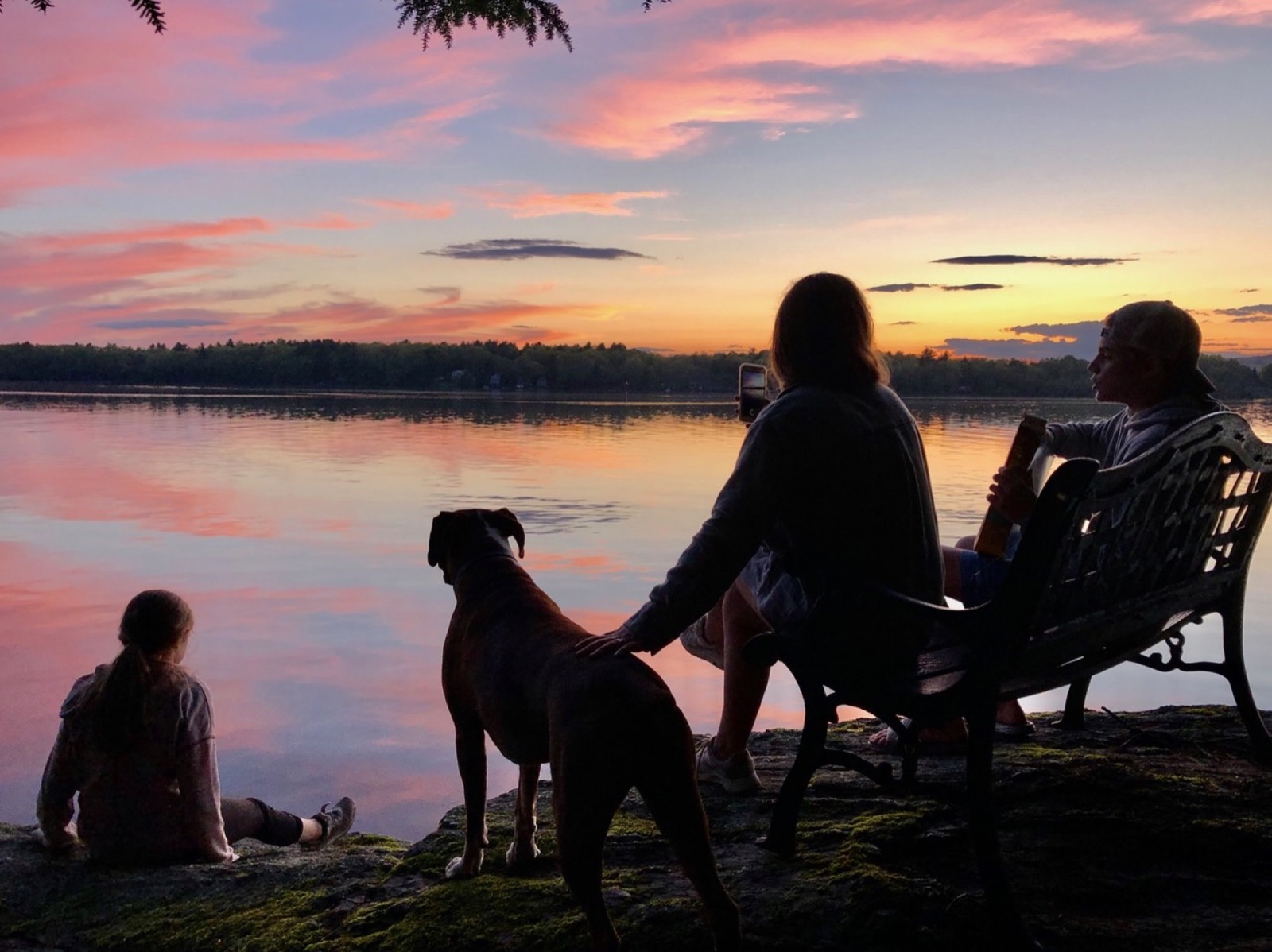 Island bugs and nature.